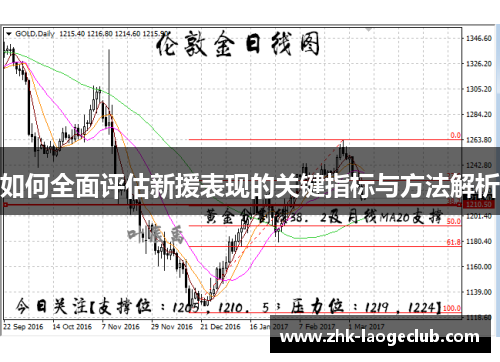 如何全面评估新援表现的关键指标与方法解析