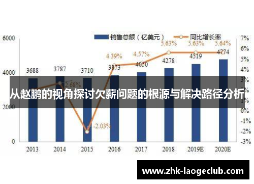 从赵鹏的视角探讨欠薪问题的根源与解决路径分析