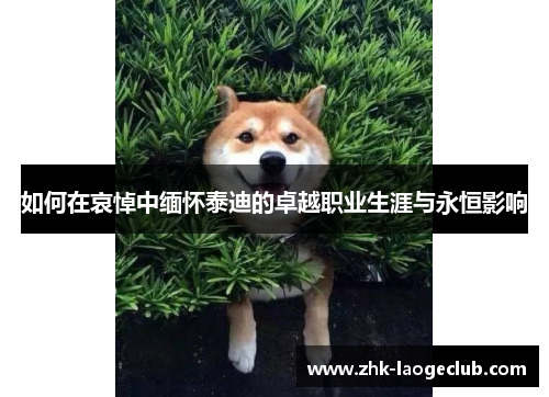 如何在哀悼中缅怀泰迪的卓越职业生涯与永恒影响