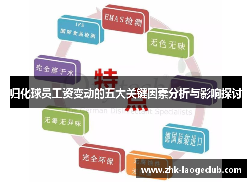 归化球员工资变动的五大关键因素分析与影响探讨