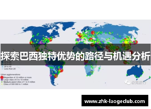 探索巴西独特优势的路径与机遇分析