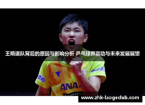 王皓退队背后的原因与影响分析 乒乓球界震动与未来发展展望